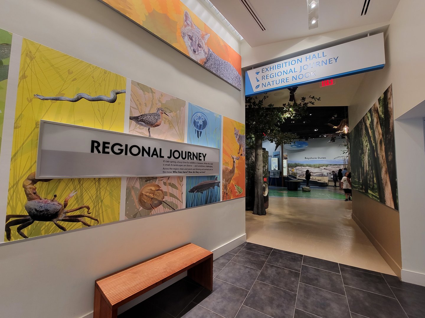 Delaware Museum of Science & Nature - Regional Journey Entrance