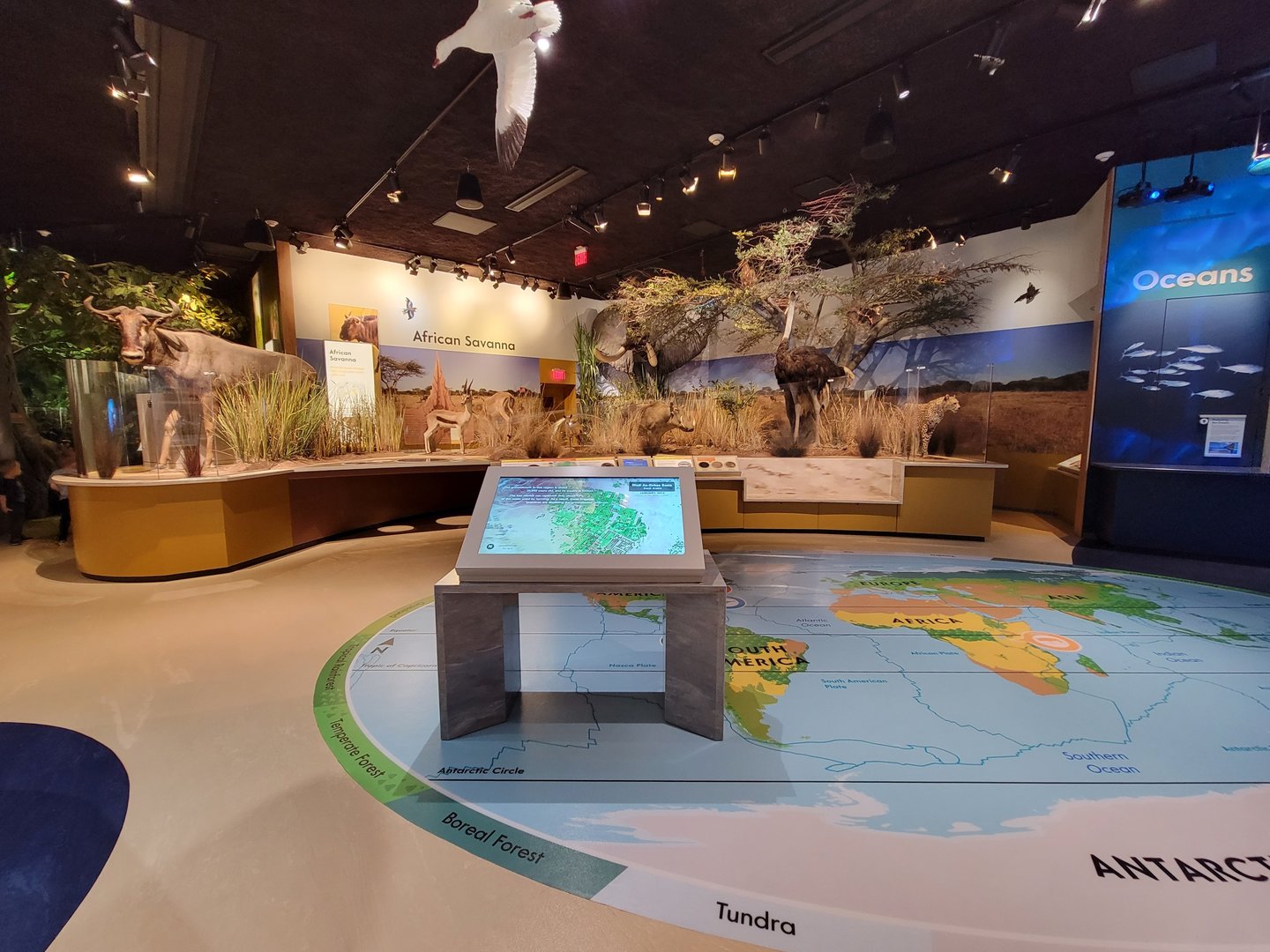 Delaware Museum of Science & Nature - Savanna (Climate Changes Everything)