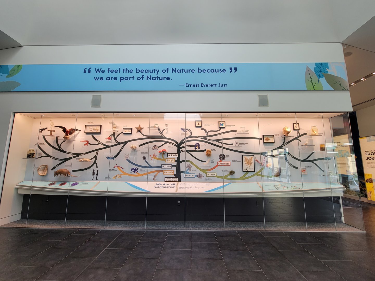 Delaware Museum of Science & Nature - "We feel the Beauty of Nature because we are all part of Nature"