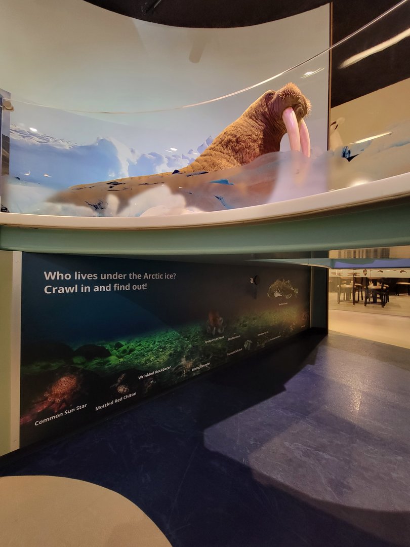 Delaware Museum of Science & Nature - Who lives under the Arctic ice?
