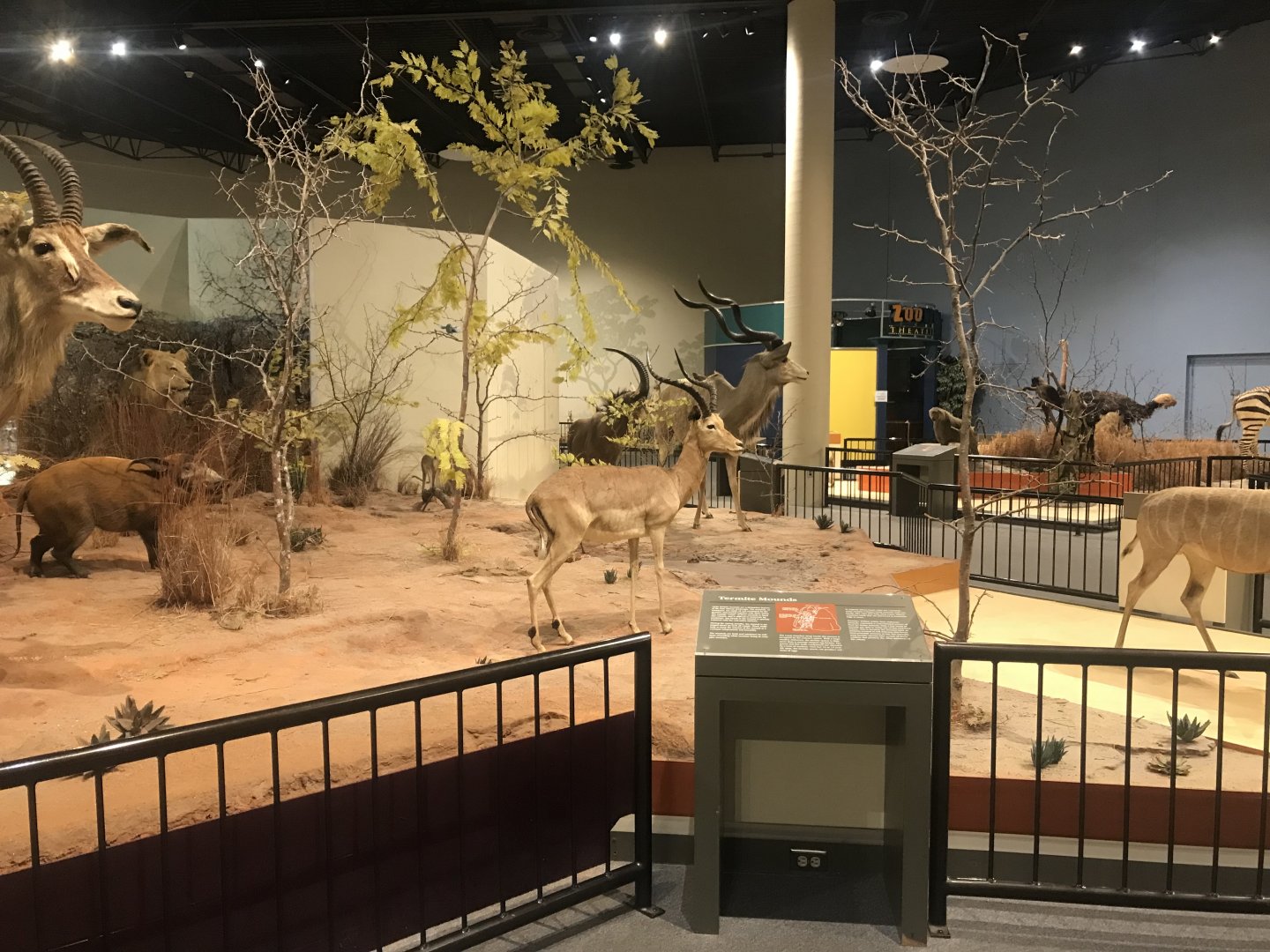 Delbridge Museum of Natural History - African Grasslands Display