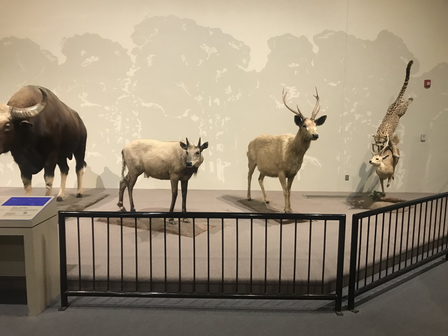 Delbridge Museum of Natural History - Indian Display #1