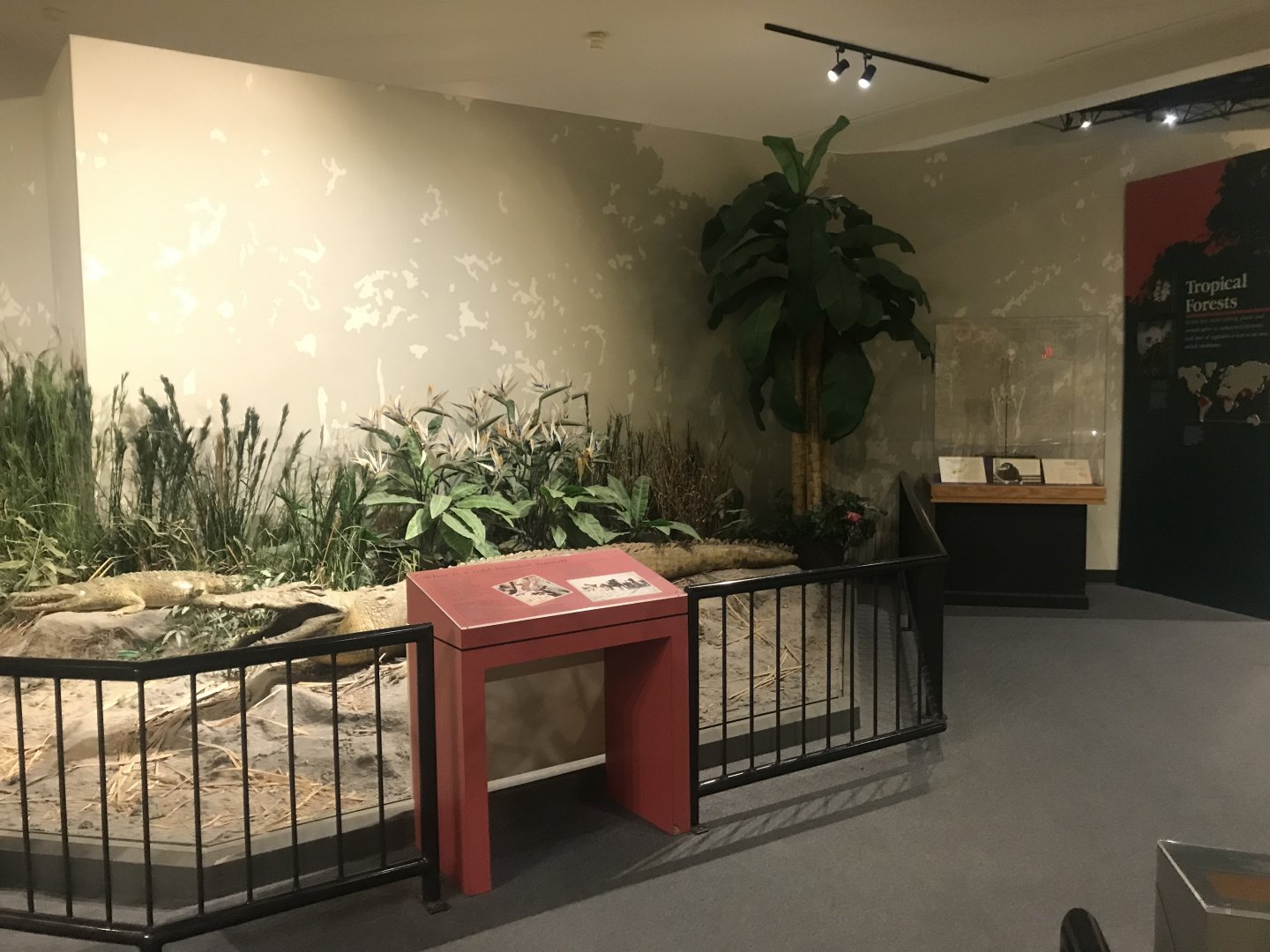 Delbridge Museum of Natural History - Nile River Display