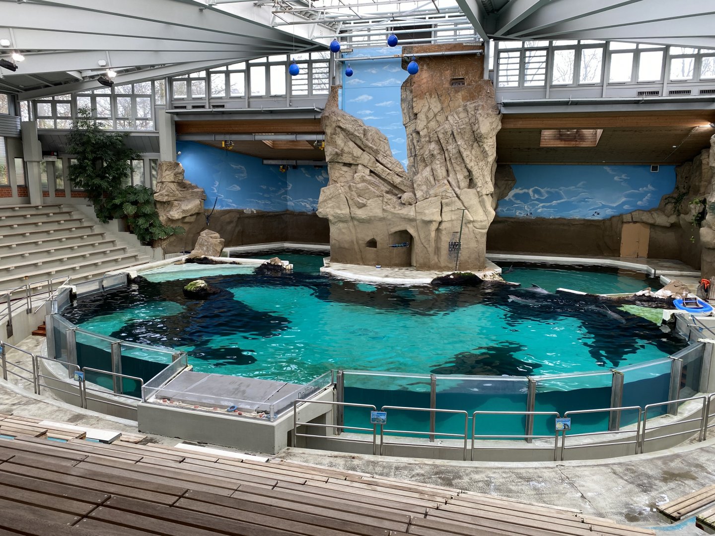 Delfinarium 011219