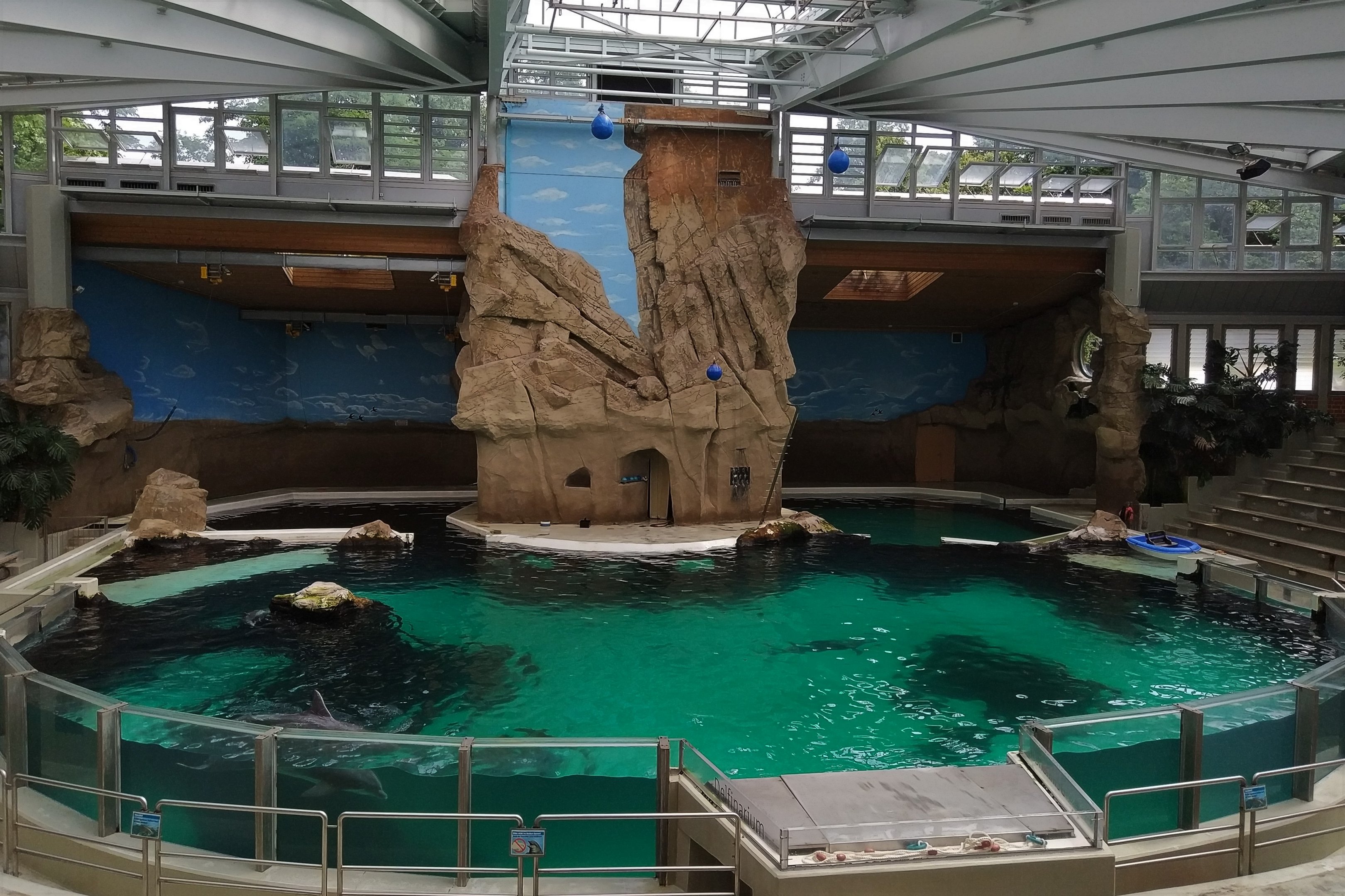 Delfinarium