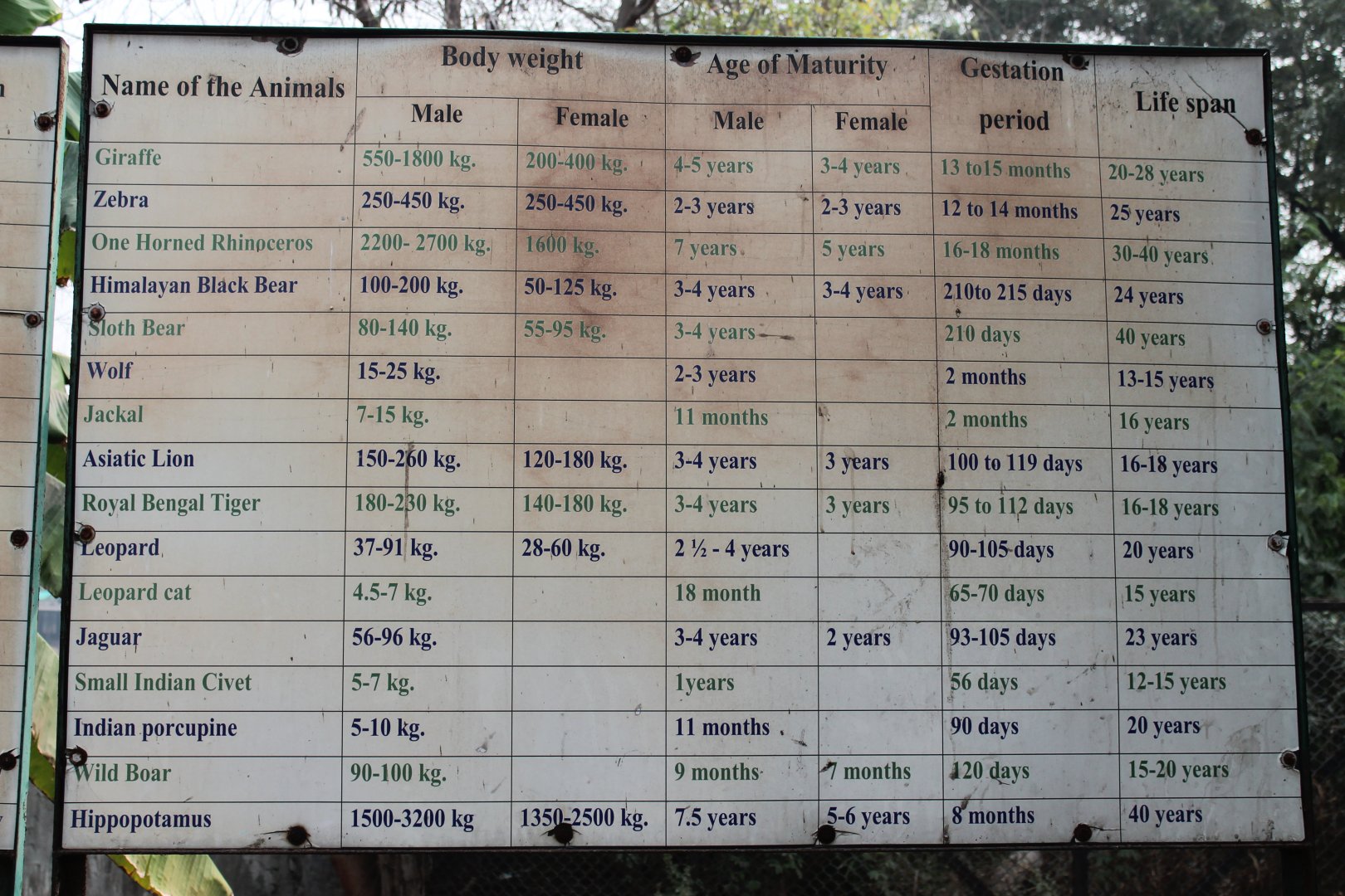 Delhi Zoo signage