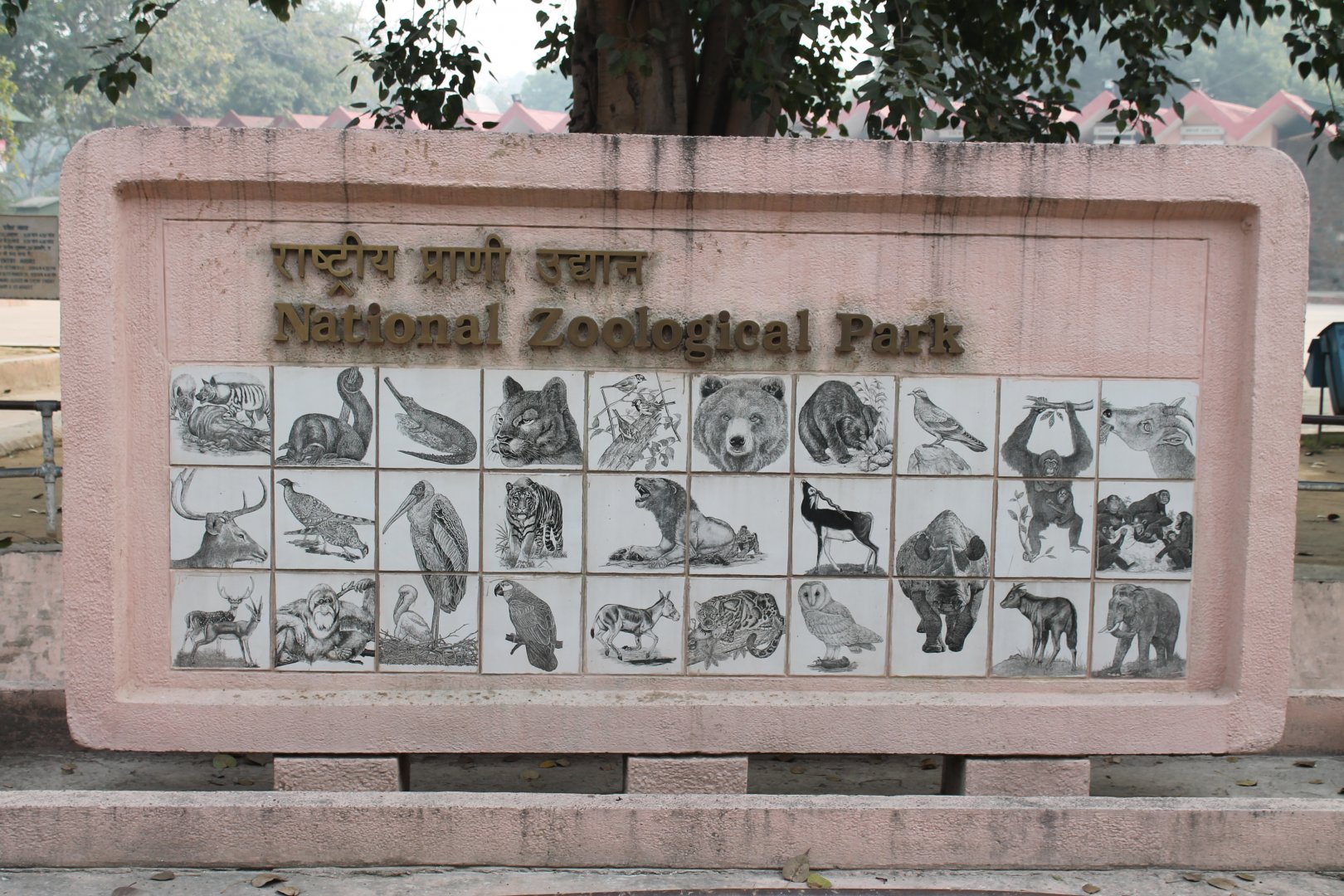 Delhi Zoo