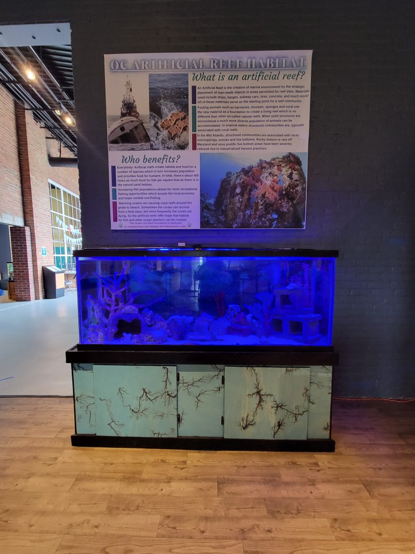 Delmarva Discovery Museum - Artificial reef