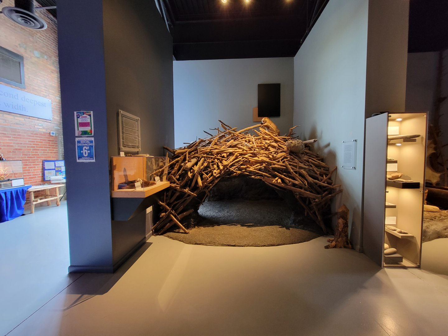 Delmarva Discovery Museum - Beaver diorama