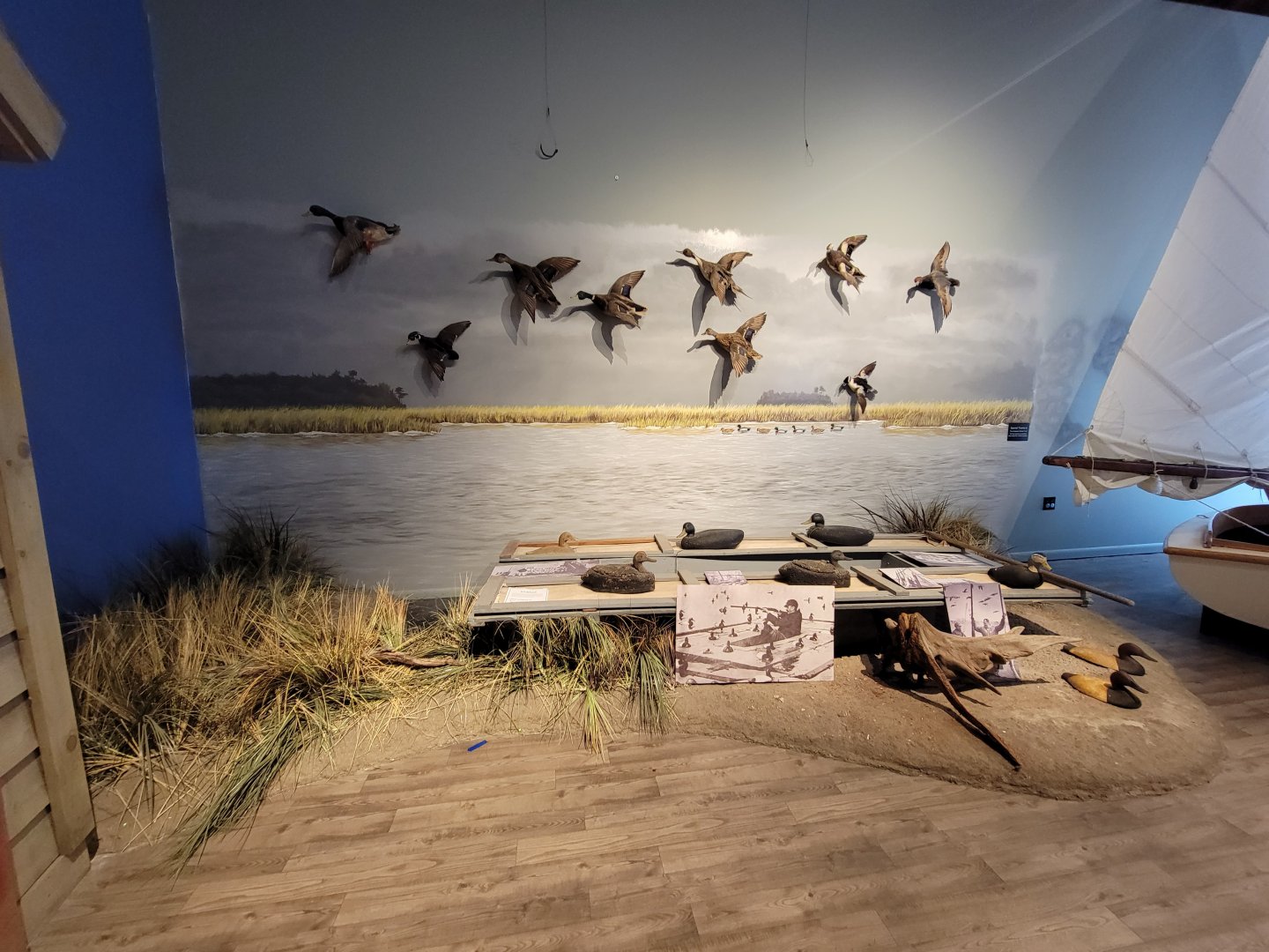 Delmarva Discovery Museum - Diorama