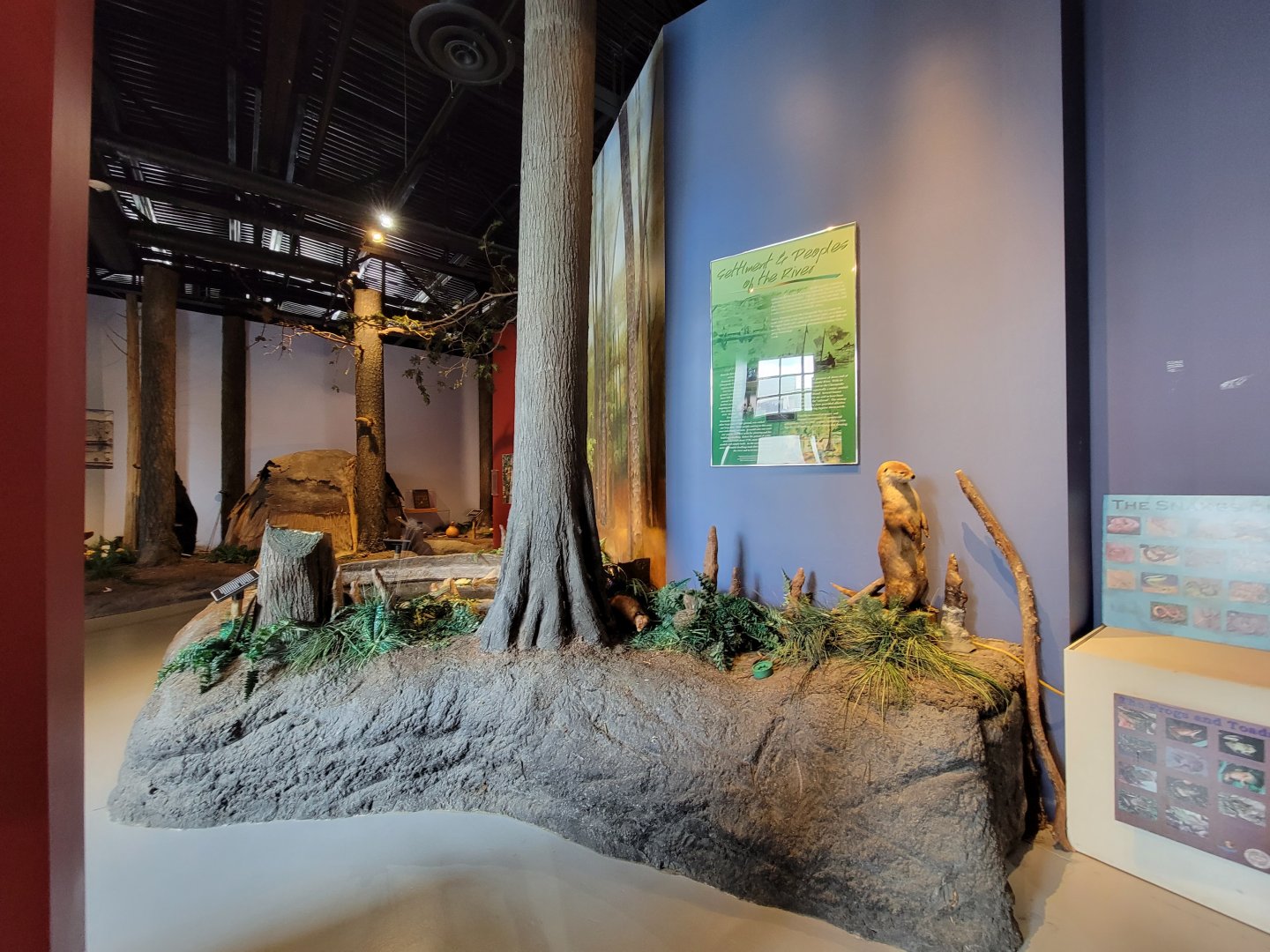 Delmarva Discovery Museum - Diorama