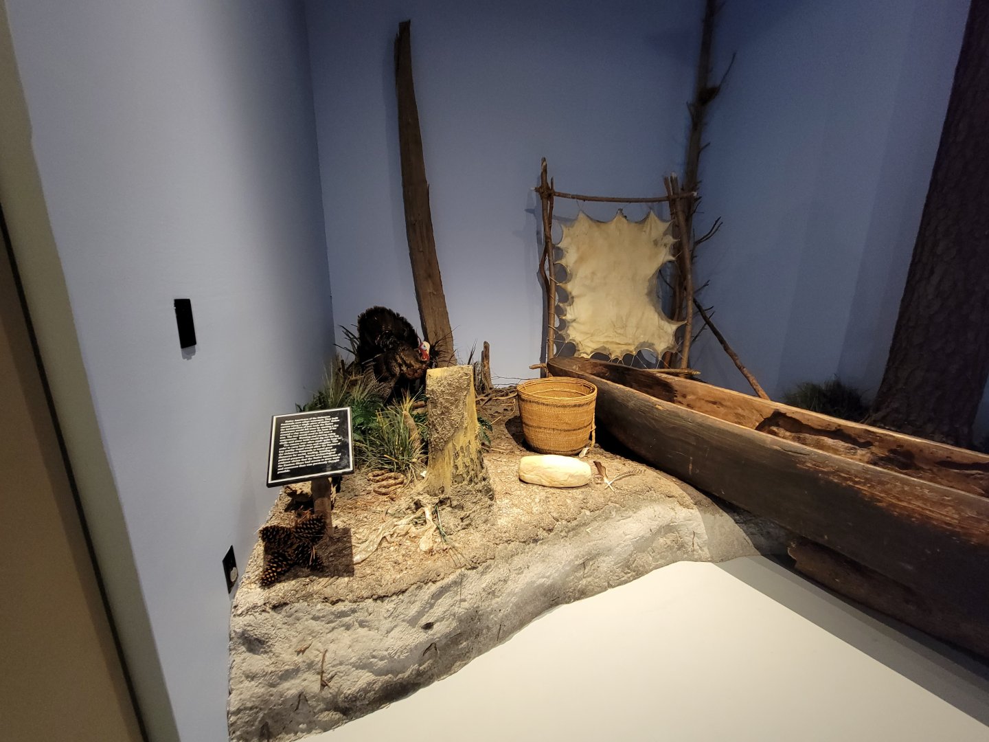 Delmarva Discovery Museum - Diorama