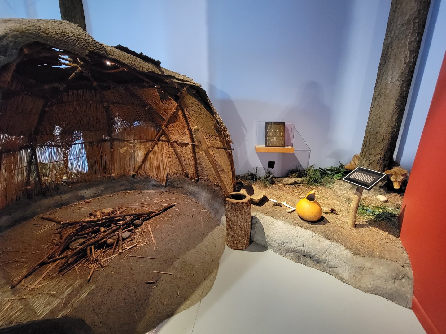 Delmarva Discovery Museum - Diorama