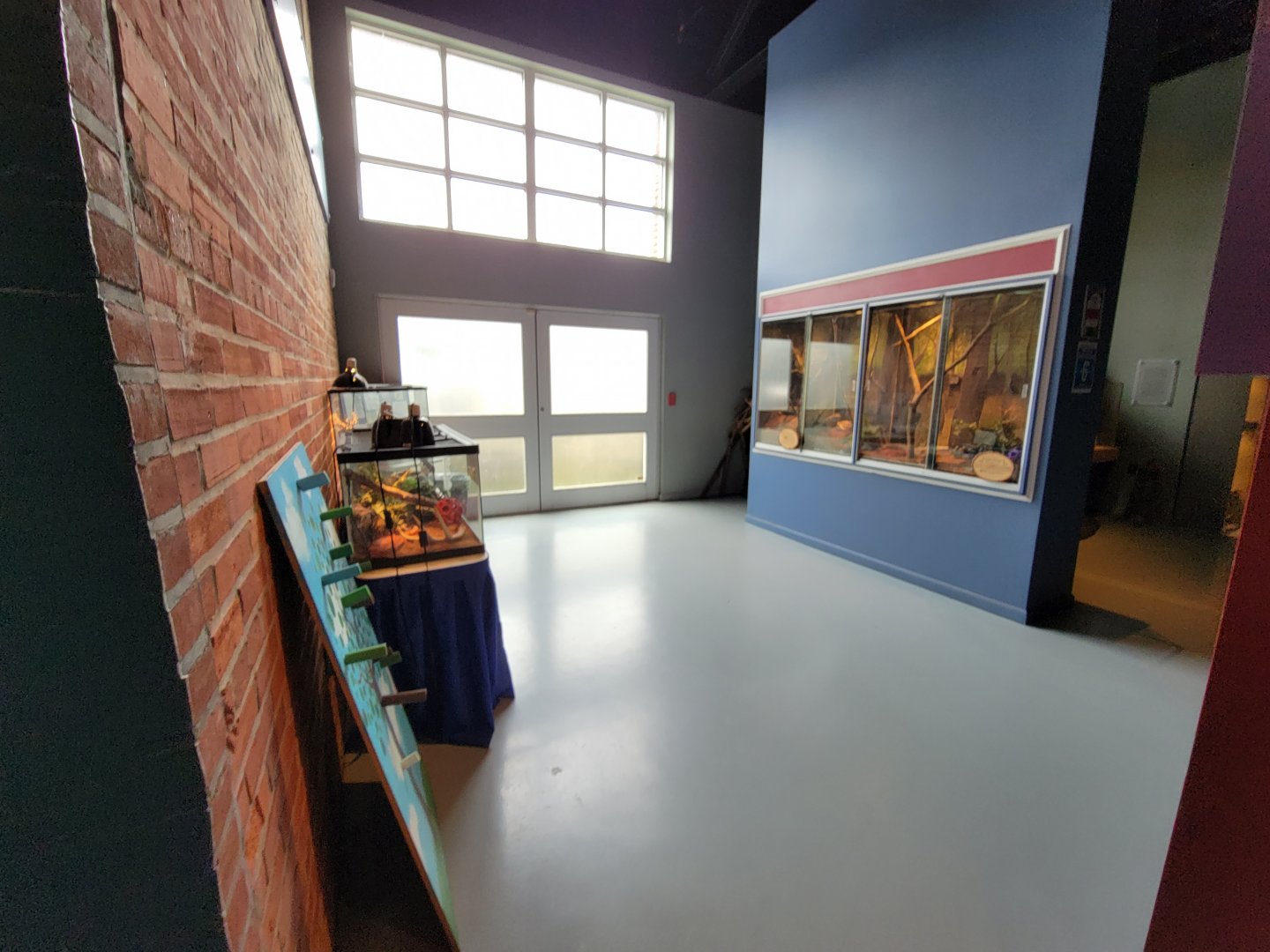 Delmarva Discovery Museum - Herp area