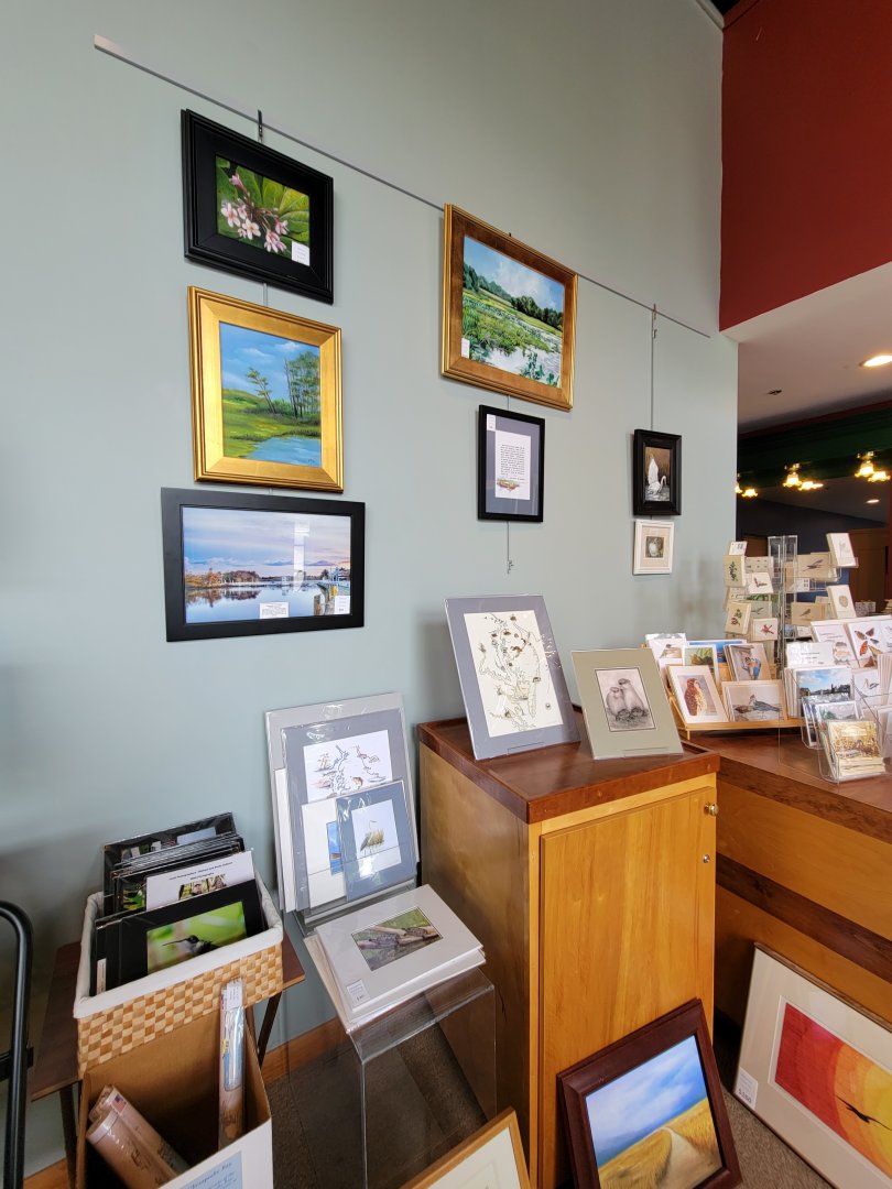 Delmarva Discovery Museum - Lots of local art in the gift shop