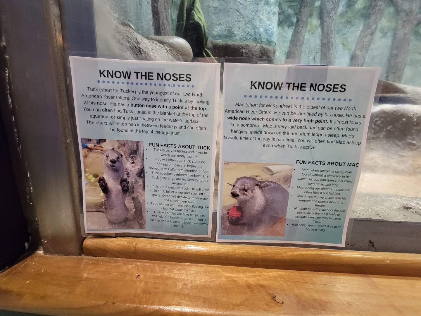 Delmarva Discovery Museum - NARO info