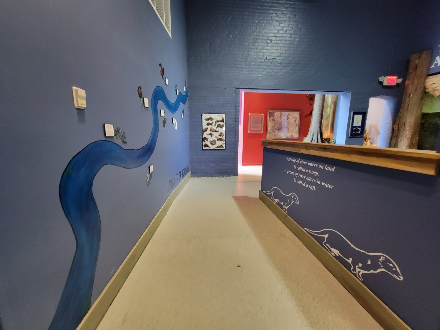 Delmarva Discovery Museum - NARO path