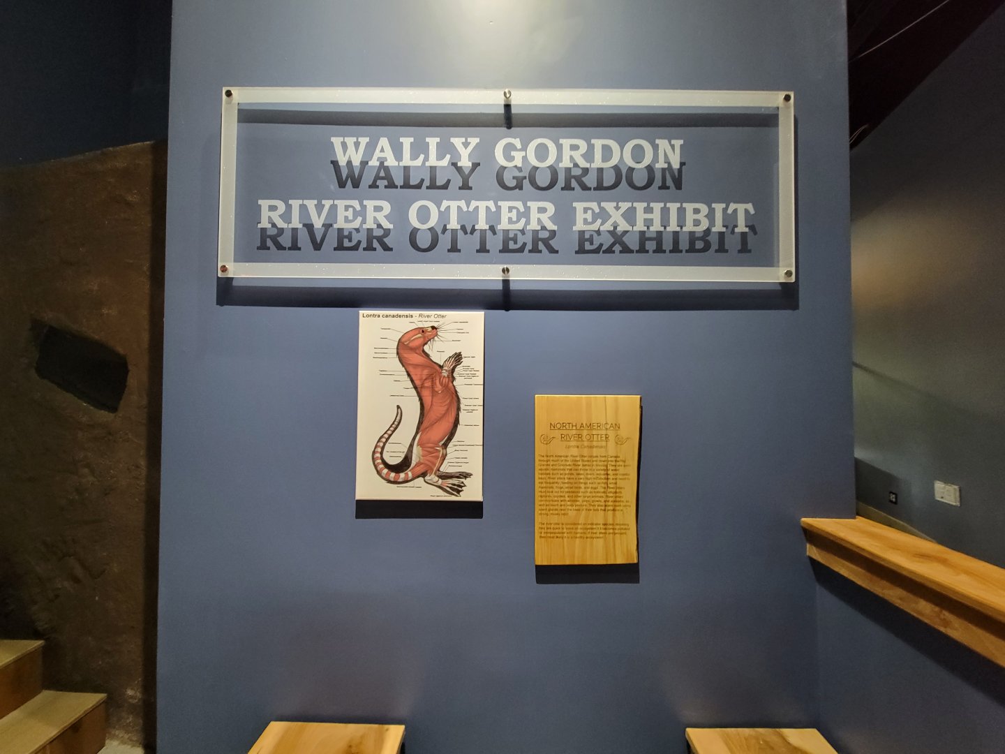 Delmarva Discovery Museum - NARO signs