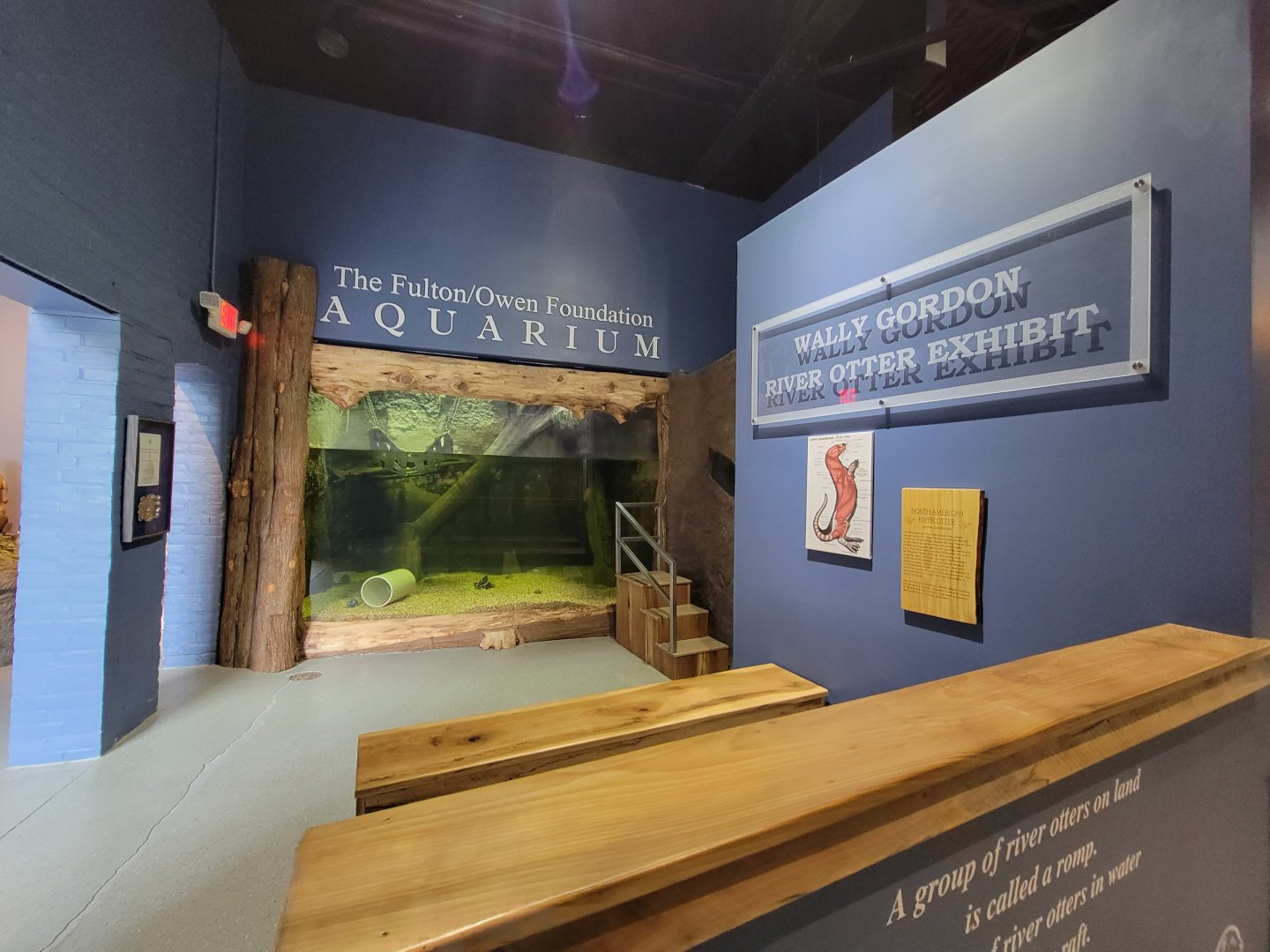 Delmarva Discovery Museum - NARO swimming area