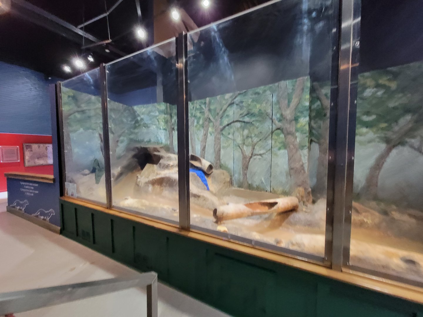 Delmarva Discovery Museum - NARO