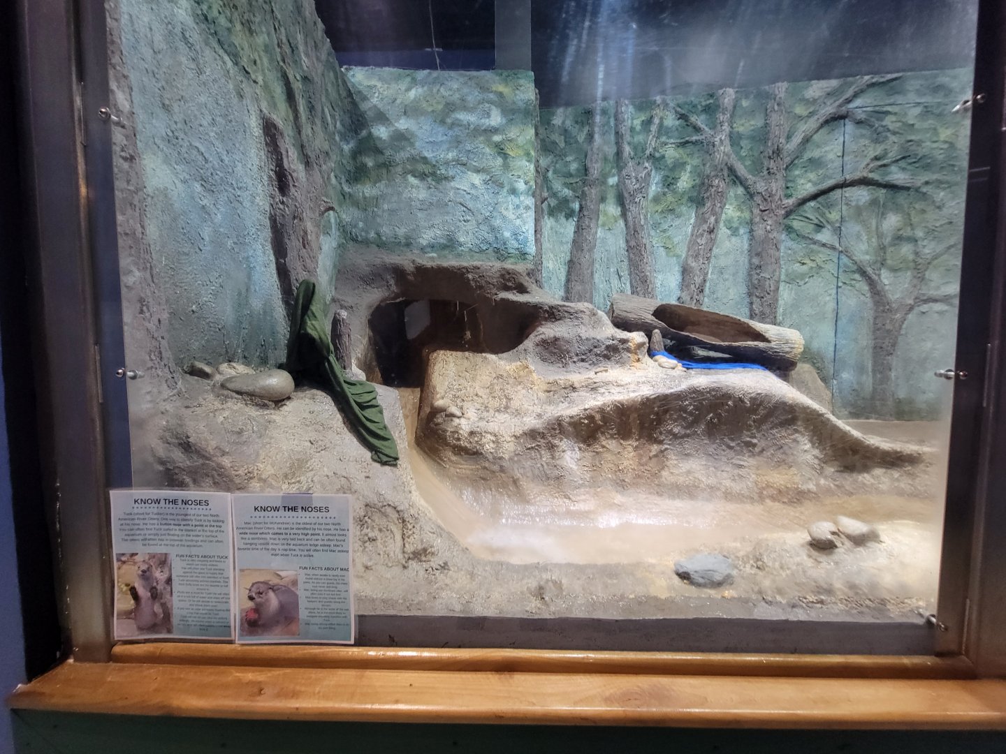 Delmarva Discovery Museum - NARO