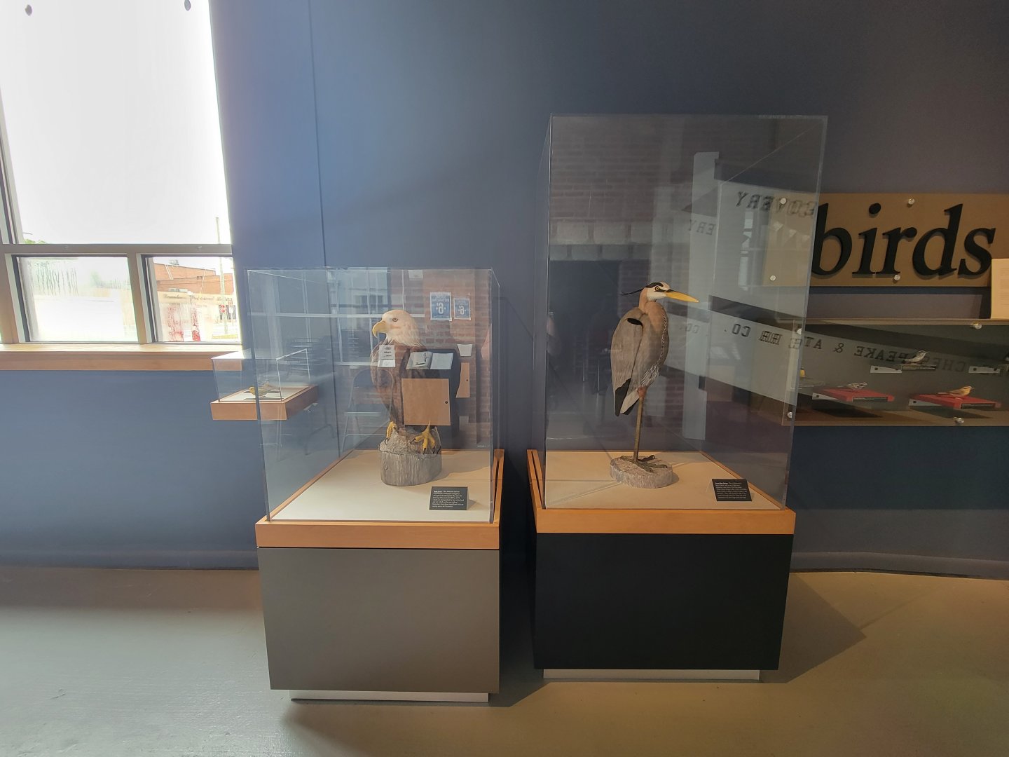 Delmarva Discovery Museum - Native bird wood carvings