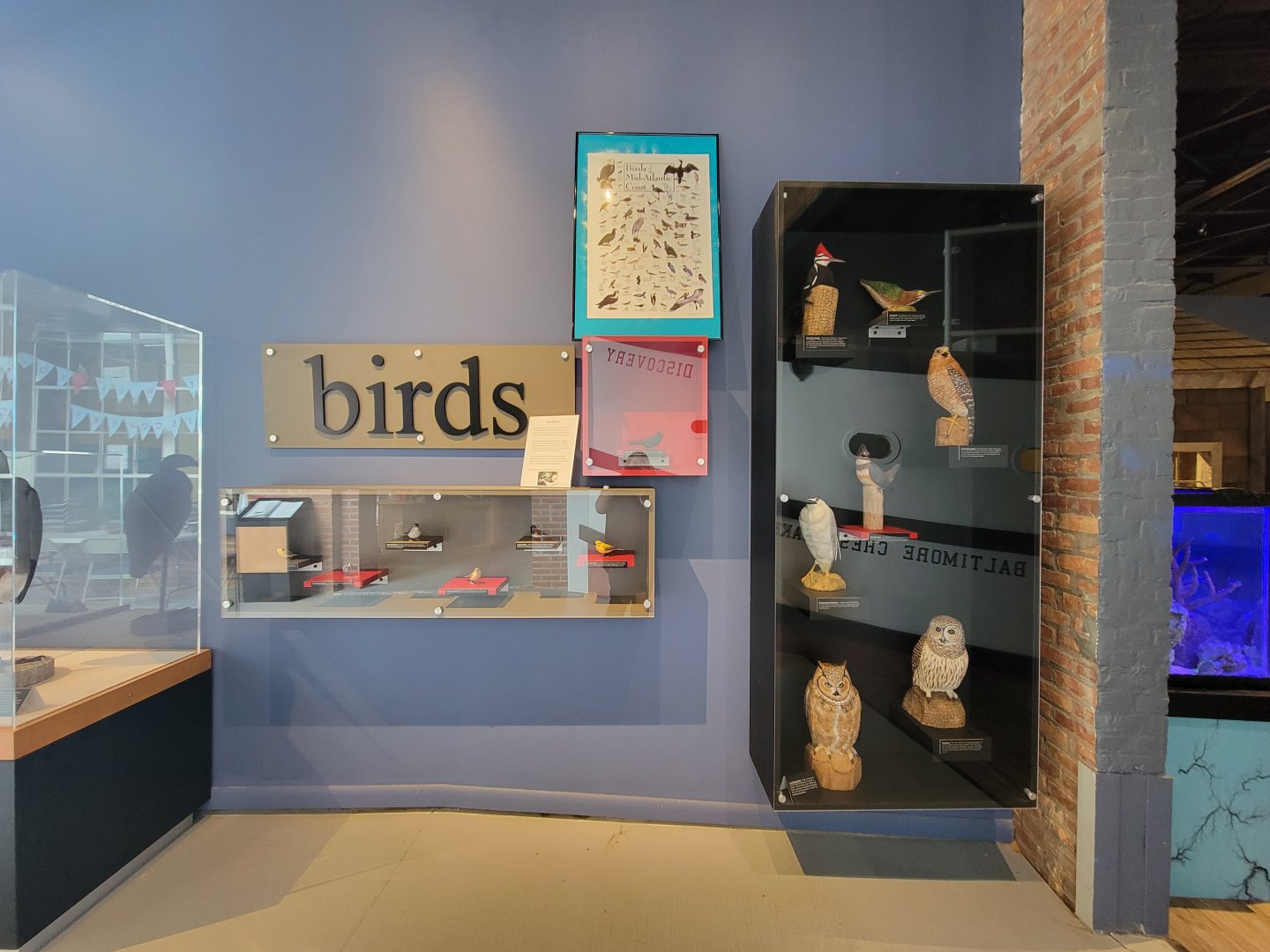 Delmarva Discovery Museum - Native bird wood carvings