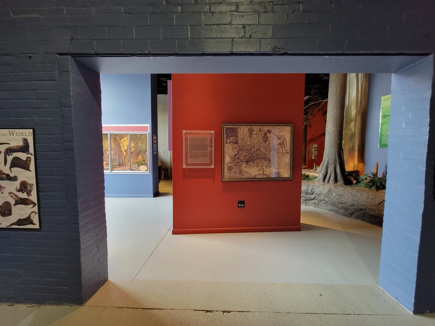 Delmarva Discovery Museum - Next room