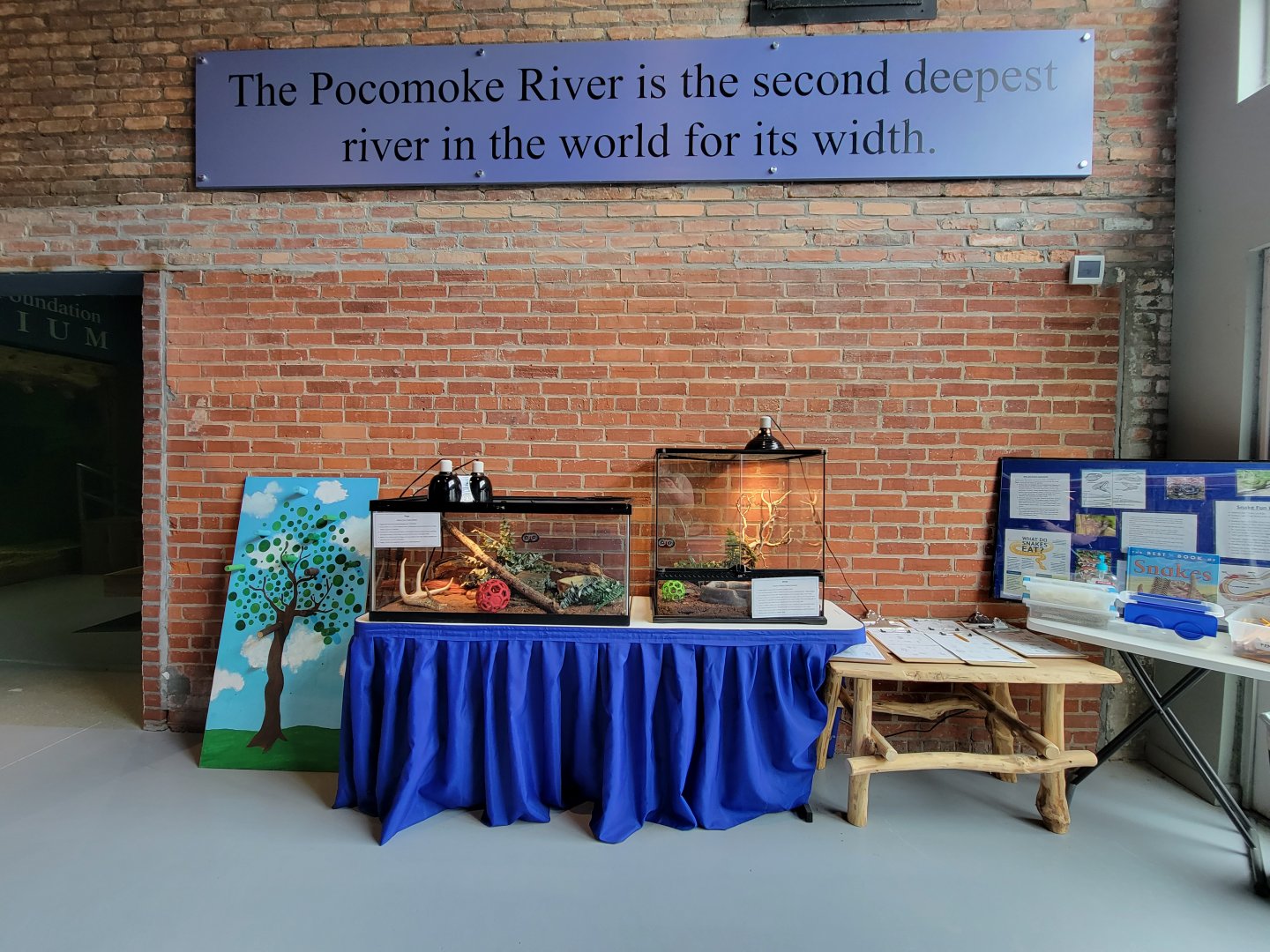 Delmarva Discovery Museum - Other wall