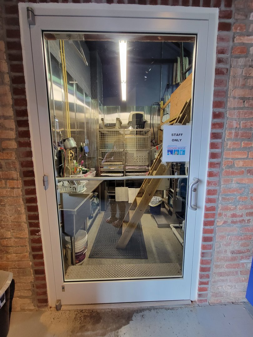 Delmarva Discovery Museum - Otter BTS area