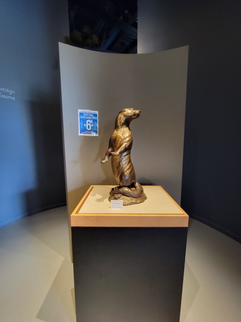 Delmarva Discovery Museum - Otter statue