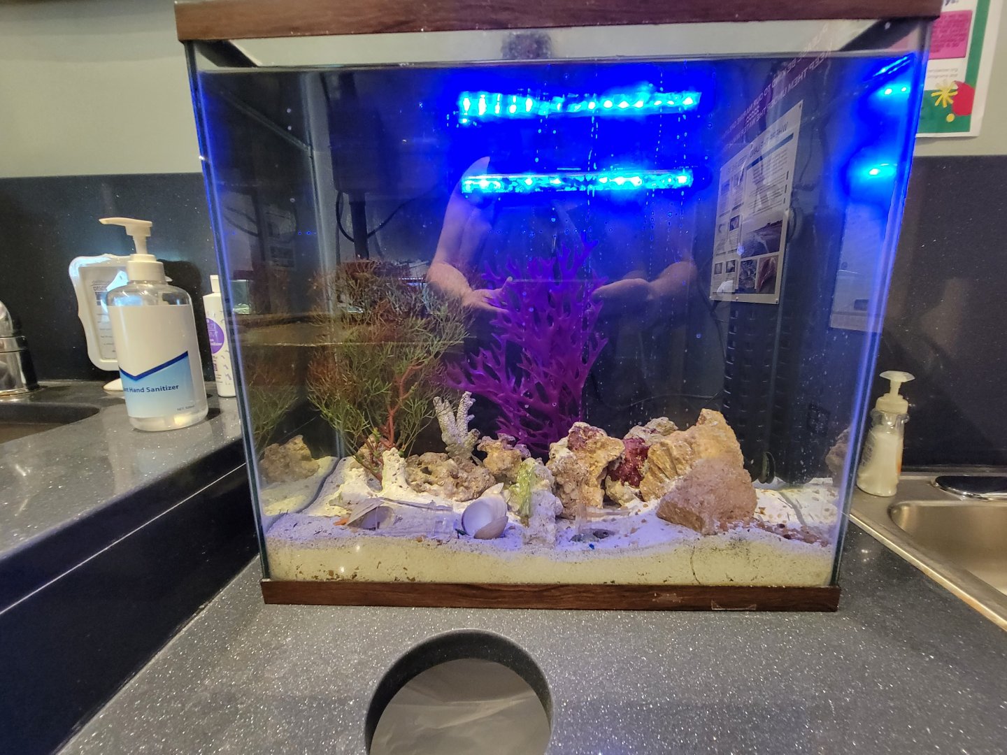 Delmarva Discovery Museum - Seahorse and pipefish, empty?