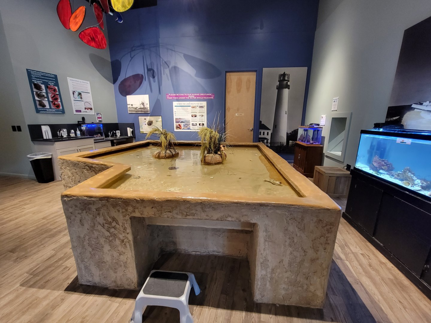 Delmarva Discovery Museum - Touch tank