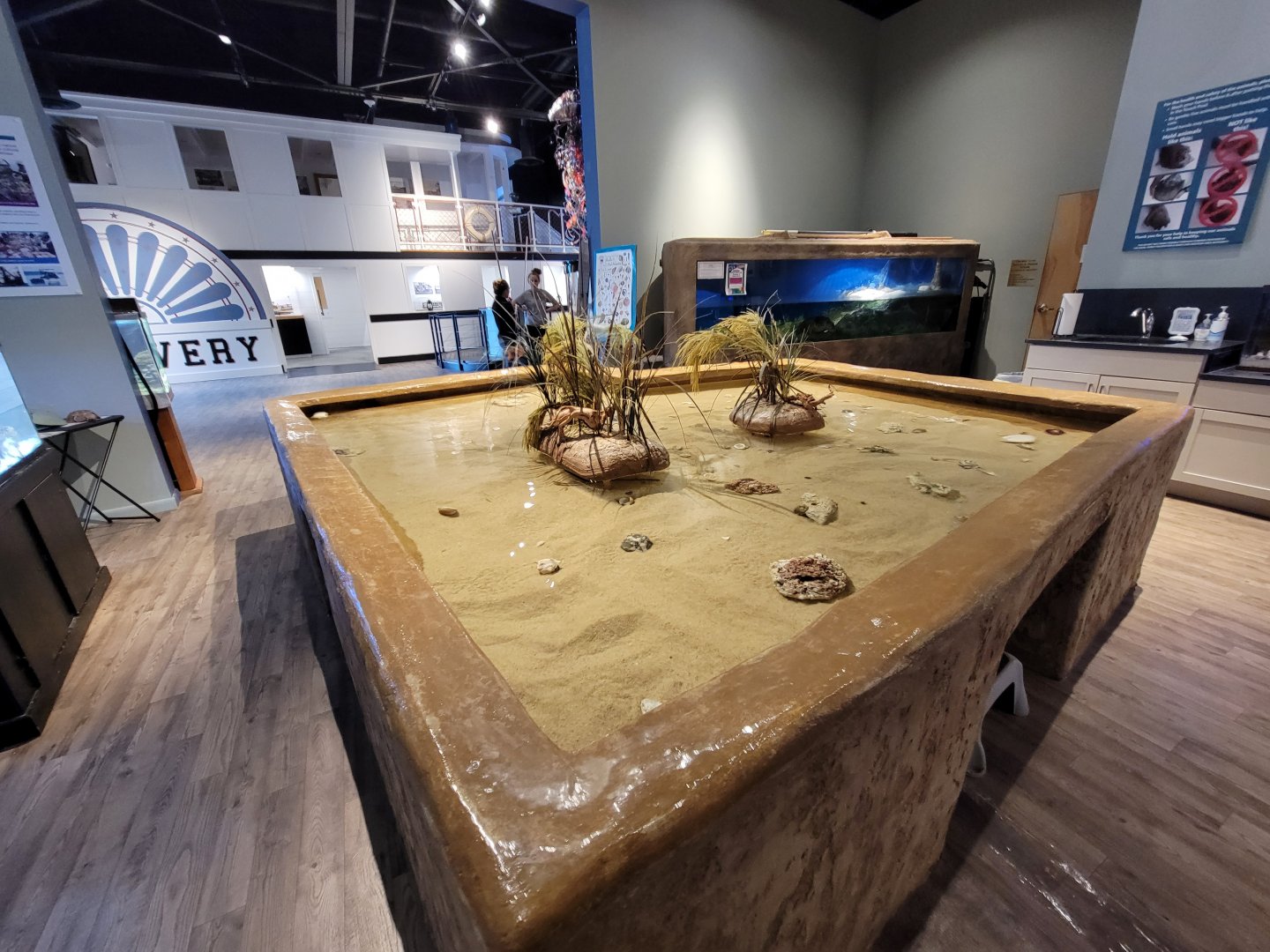 Delmarva Discovery Museum - Touch tank