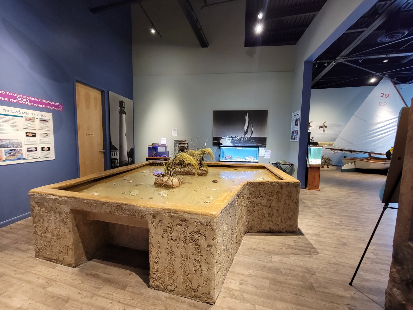 Delmarva Discovery Museum - Touch tank