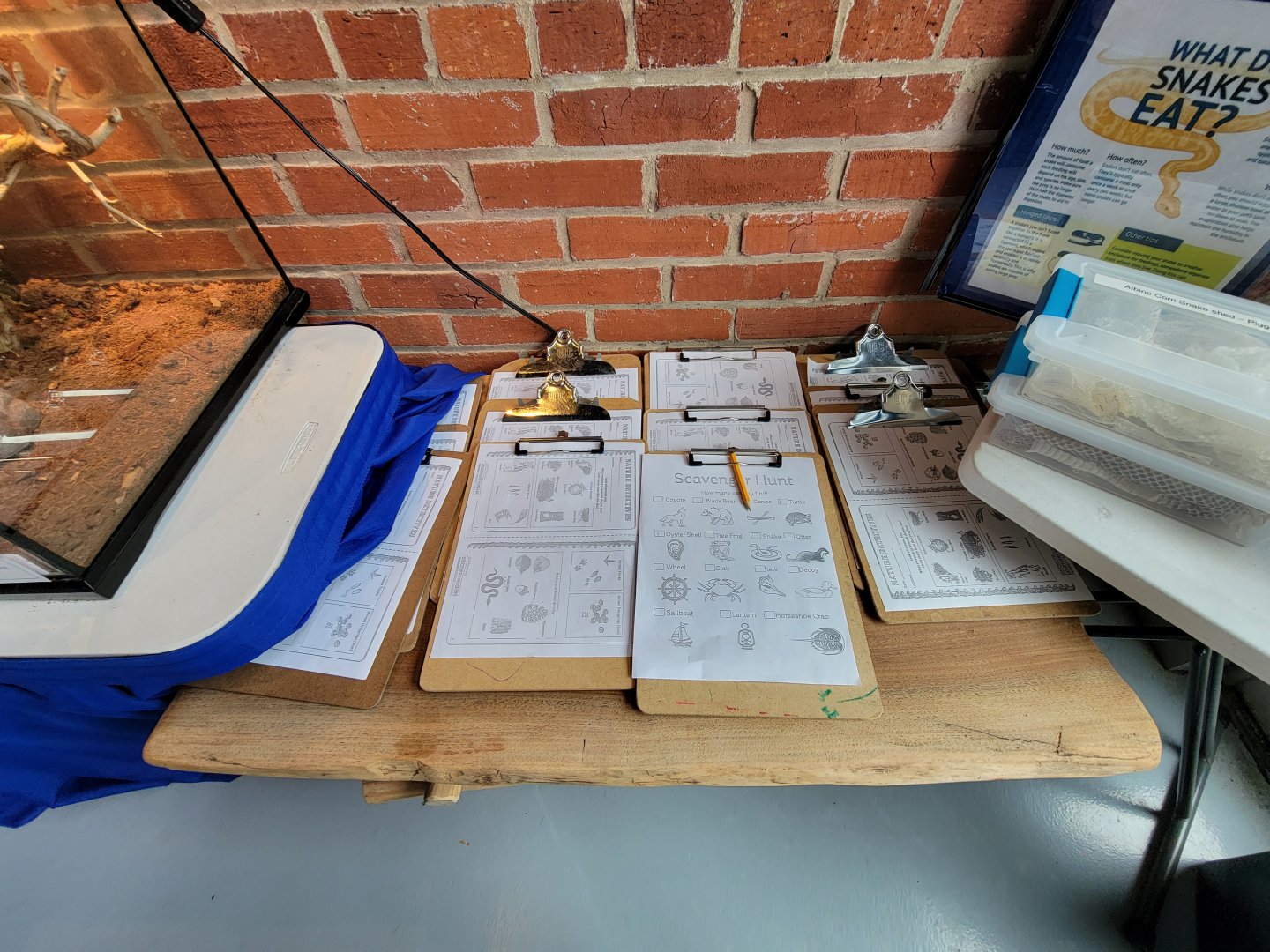 Delmarva Discovery Museum - Worksheets for kids