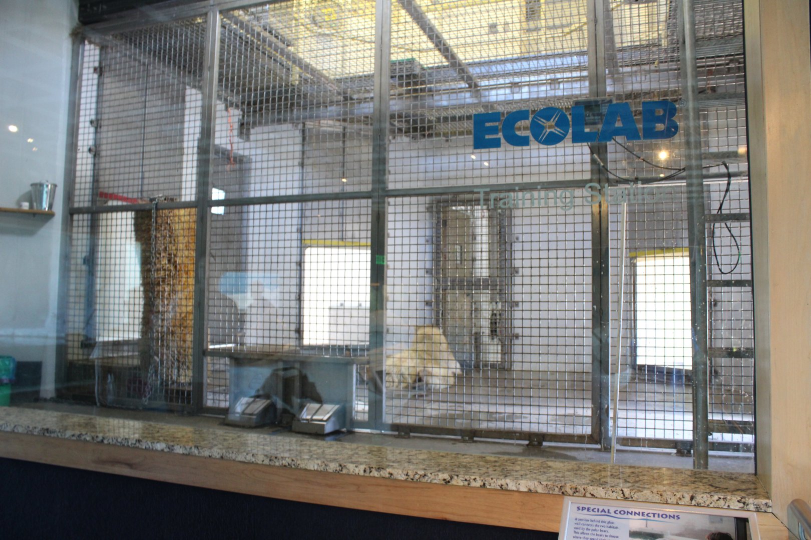 Demo Area - Polar Bear Odyssey