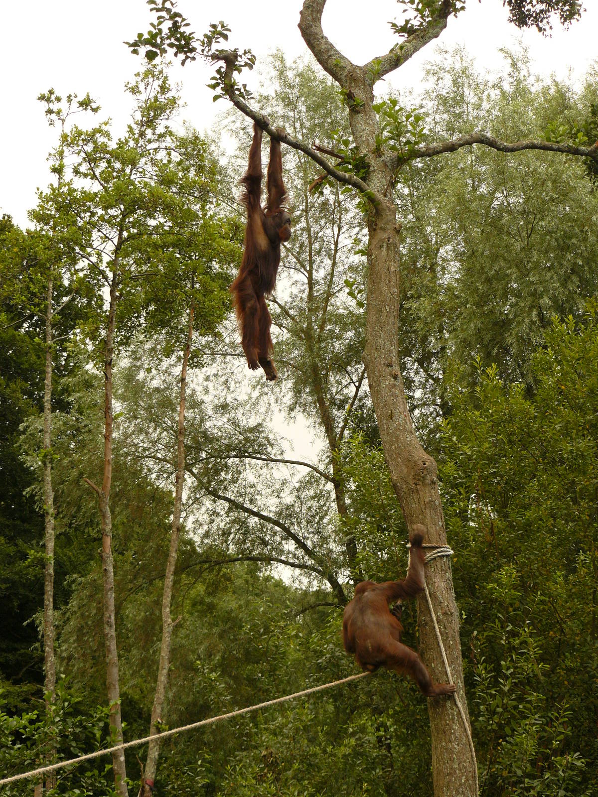 DEMO HANGING ON A WING AND A PRAYER.