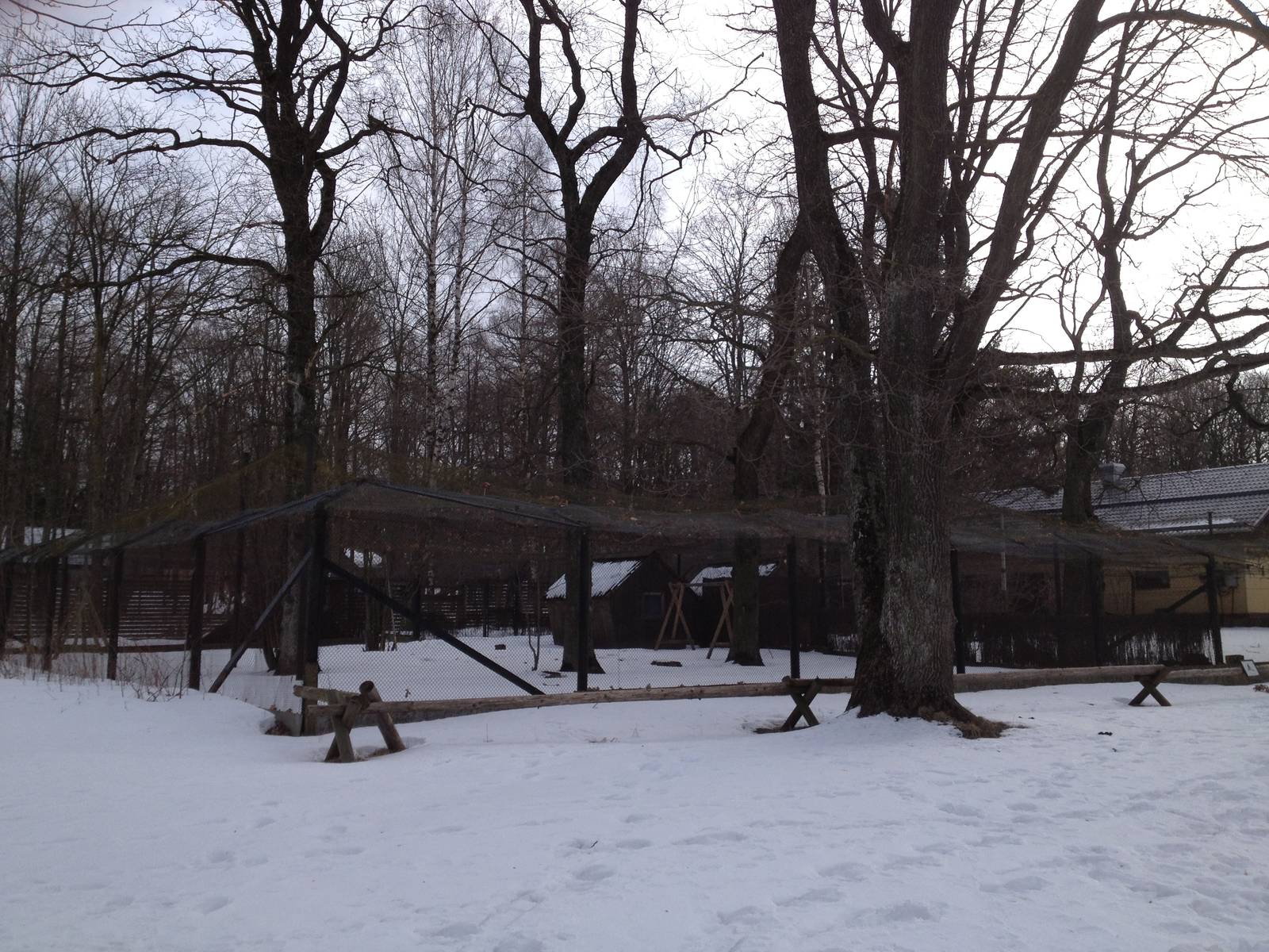 Demoiselle and Siberian crane enclosures