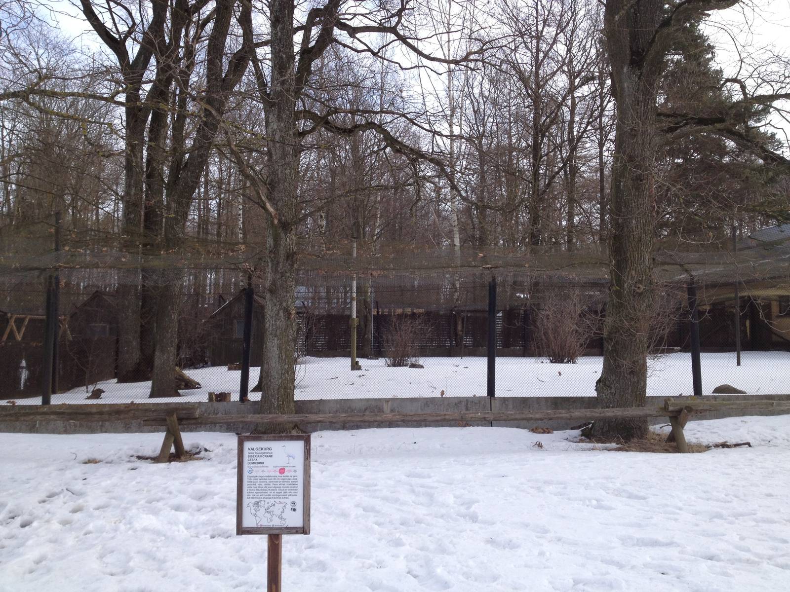 Demoiselle and Siberian crane enclosures