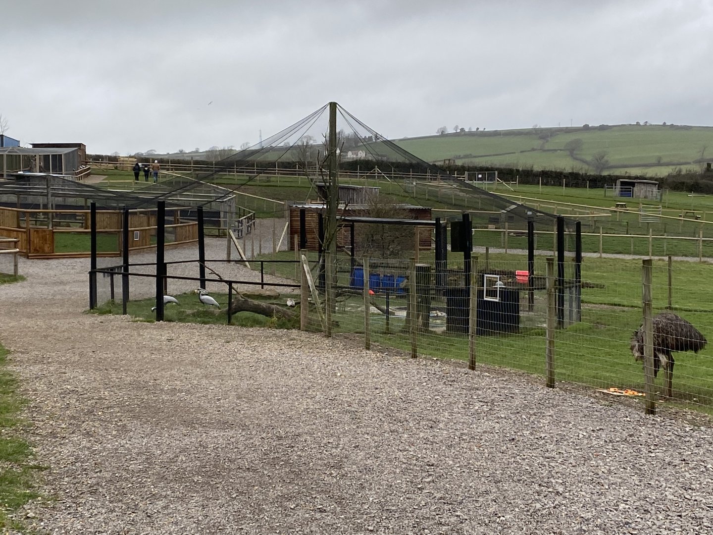 Demoiselle crane and mixed ibis exhibit 060222