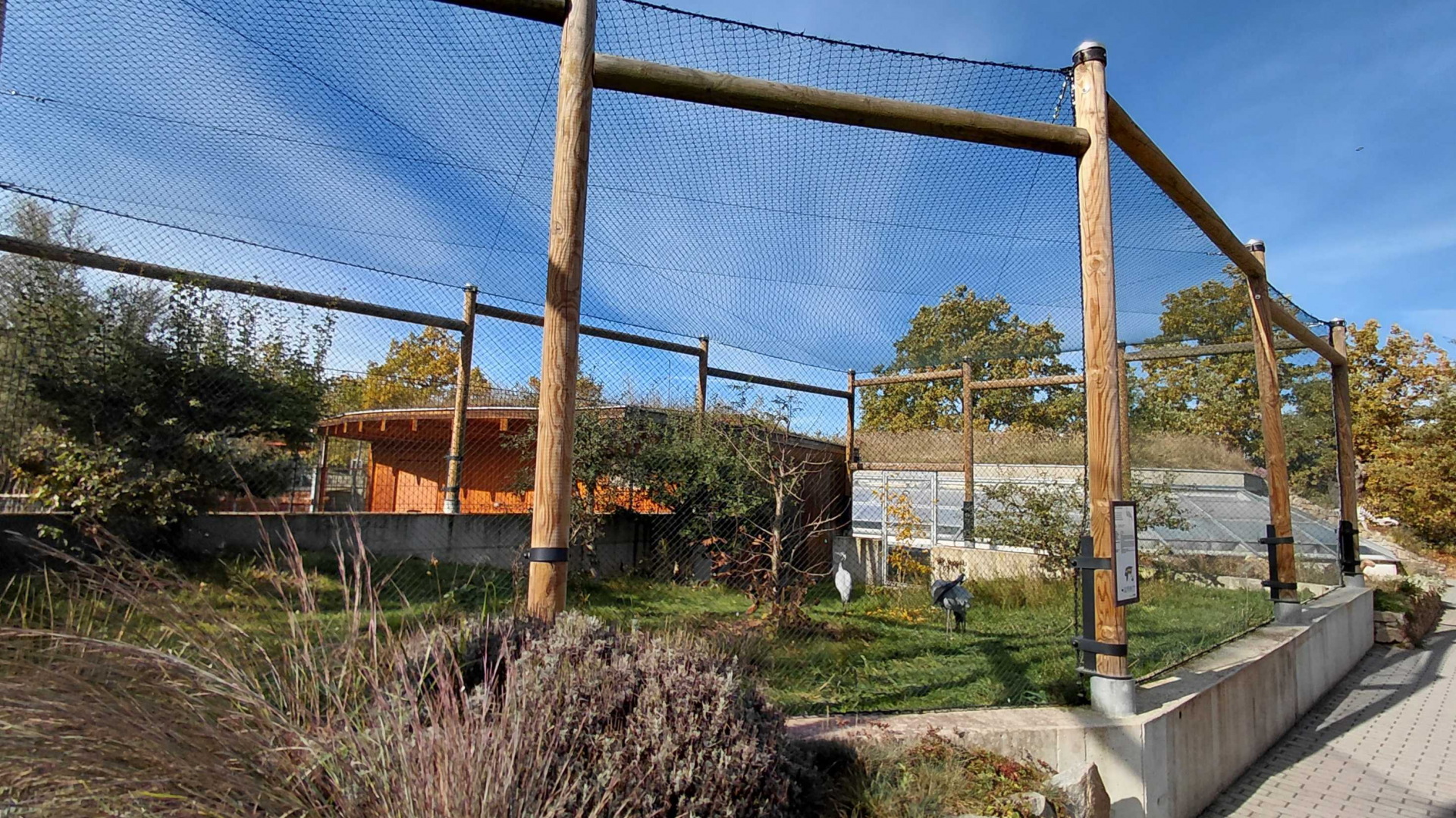 Demoiselle crane aviary