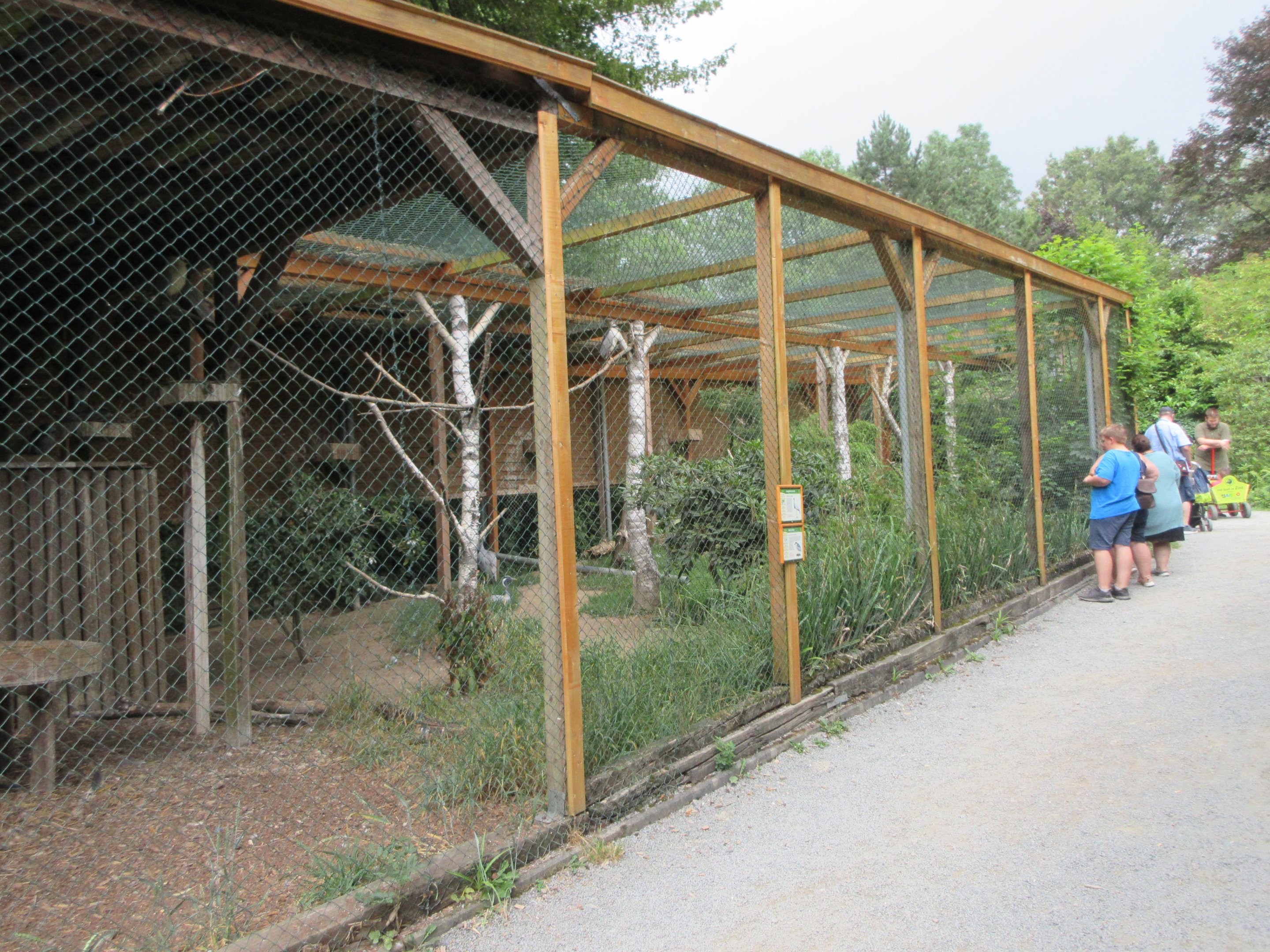 Demoiselle Crane/Black-crowned Night Heron Exhibit