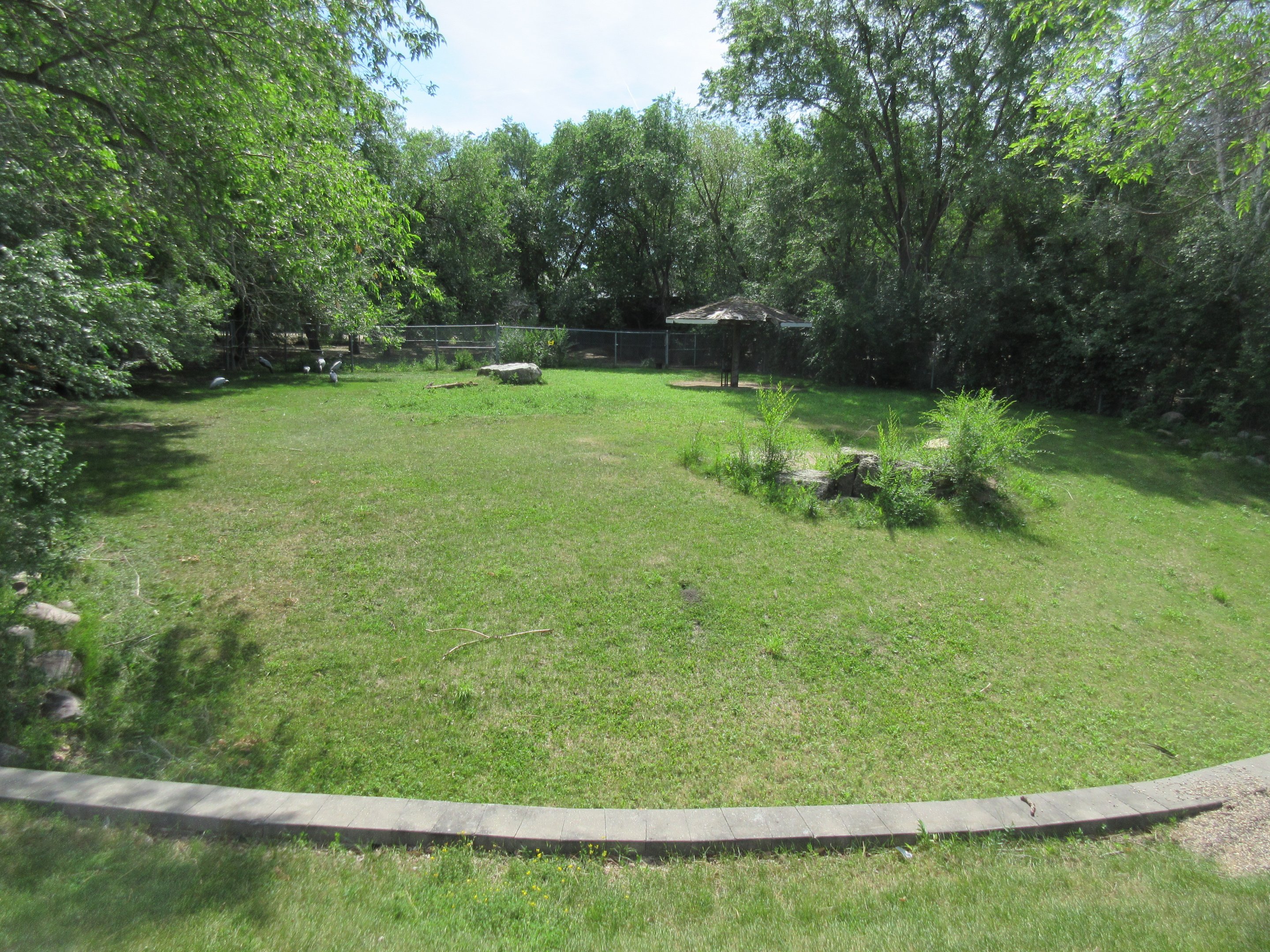 Demoiselle Crane Exhibit