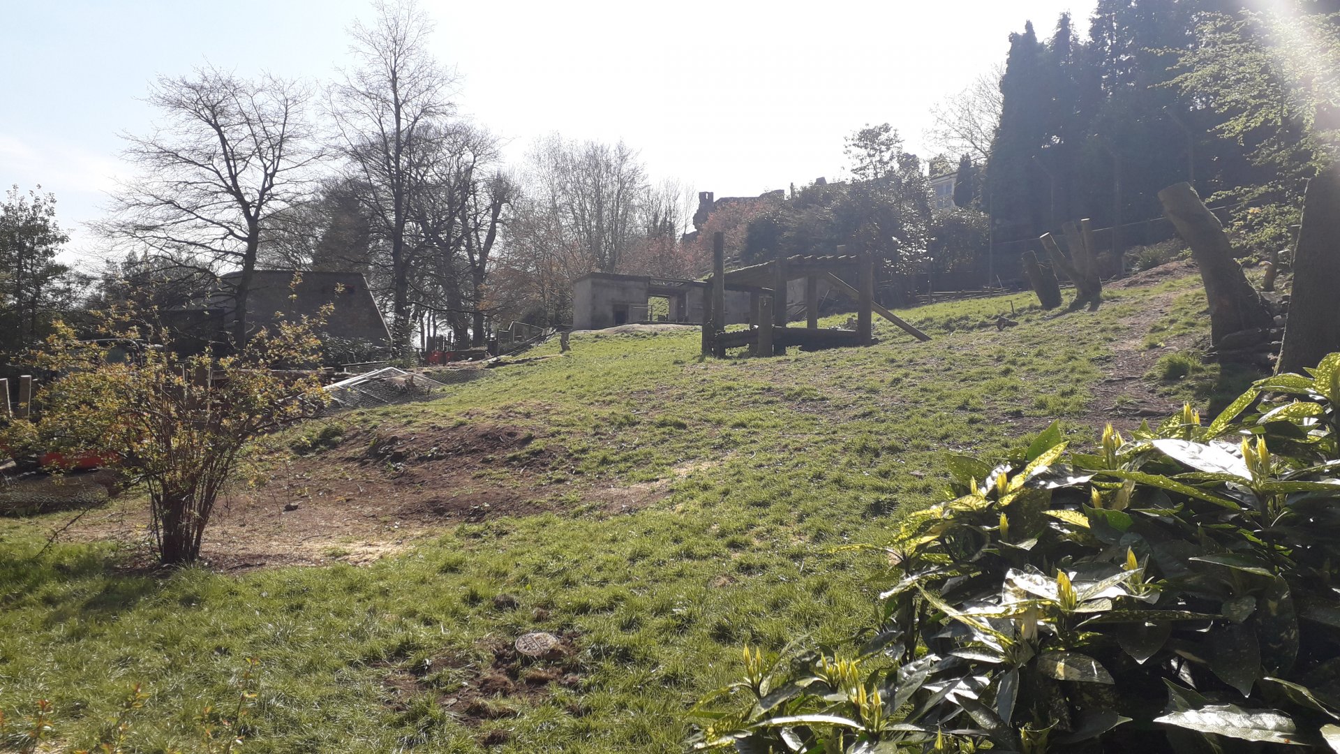 Demolition at Dudley Zoo