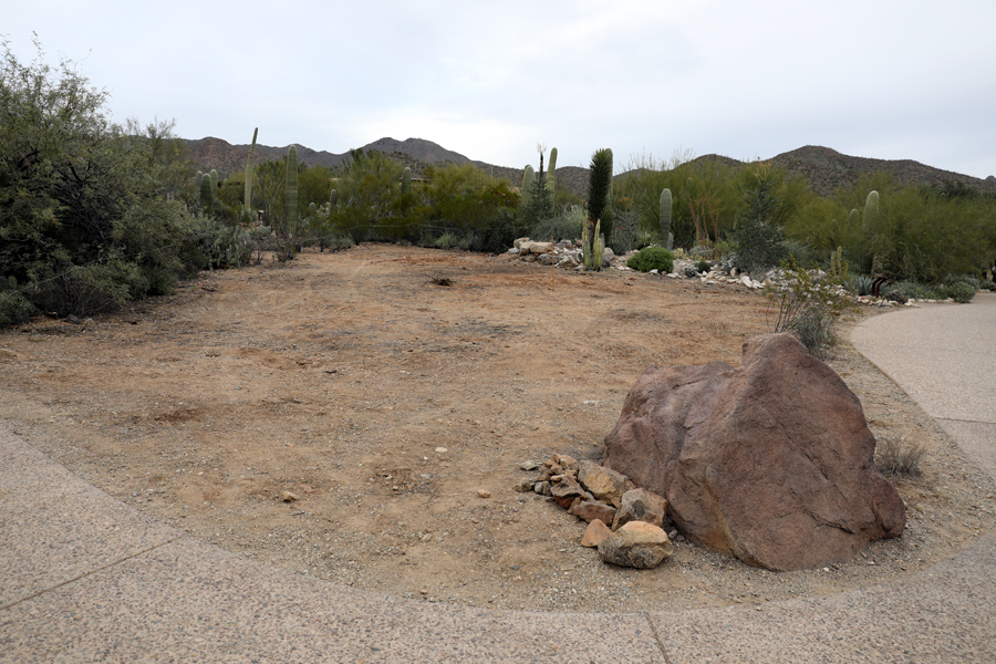 demolition near cactus garden