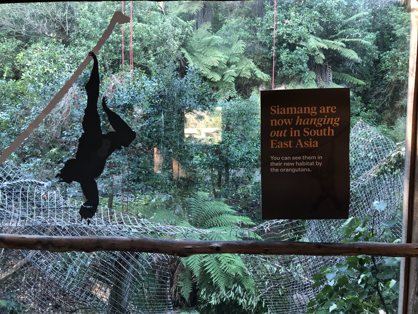 Demolition of the old Siamang enclosure