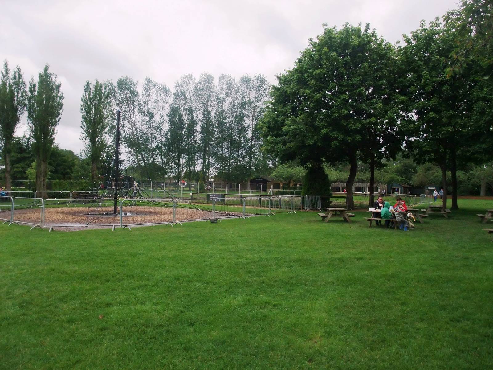 Demolition Site at Twycross, 01/07/12