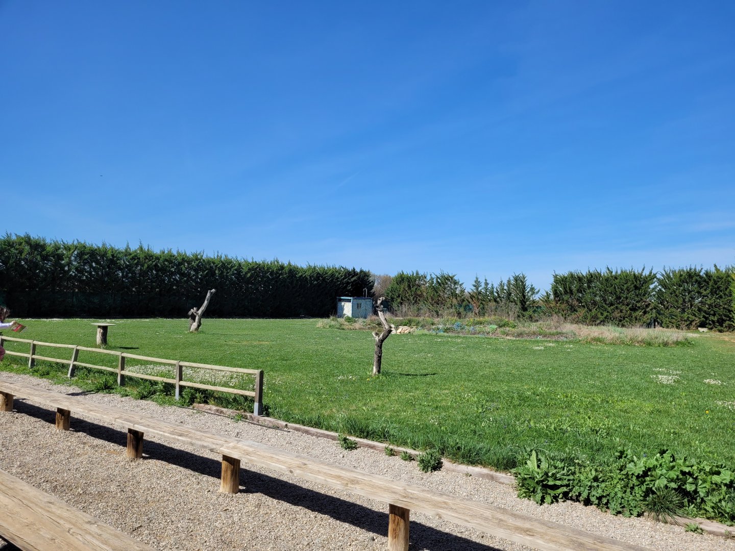 Demonstration lawn -Tierra Rapaz (2024)