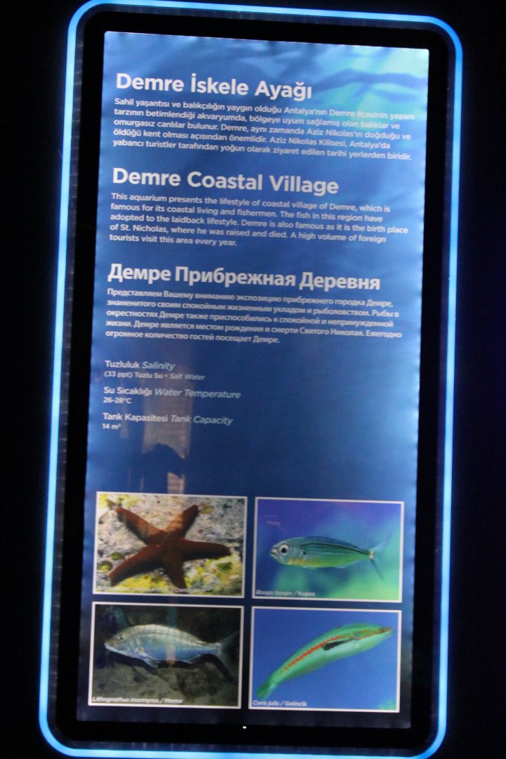 Demre harbour-aquarium sign